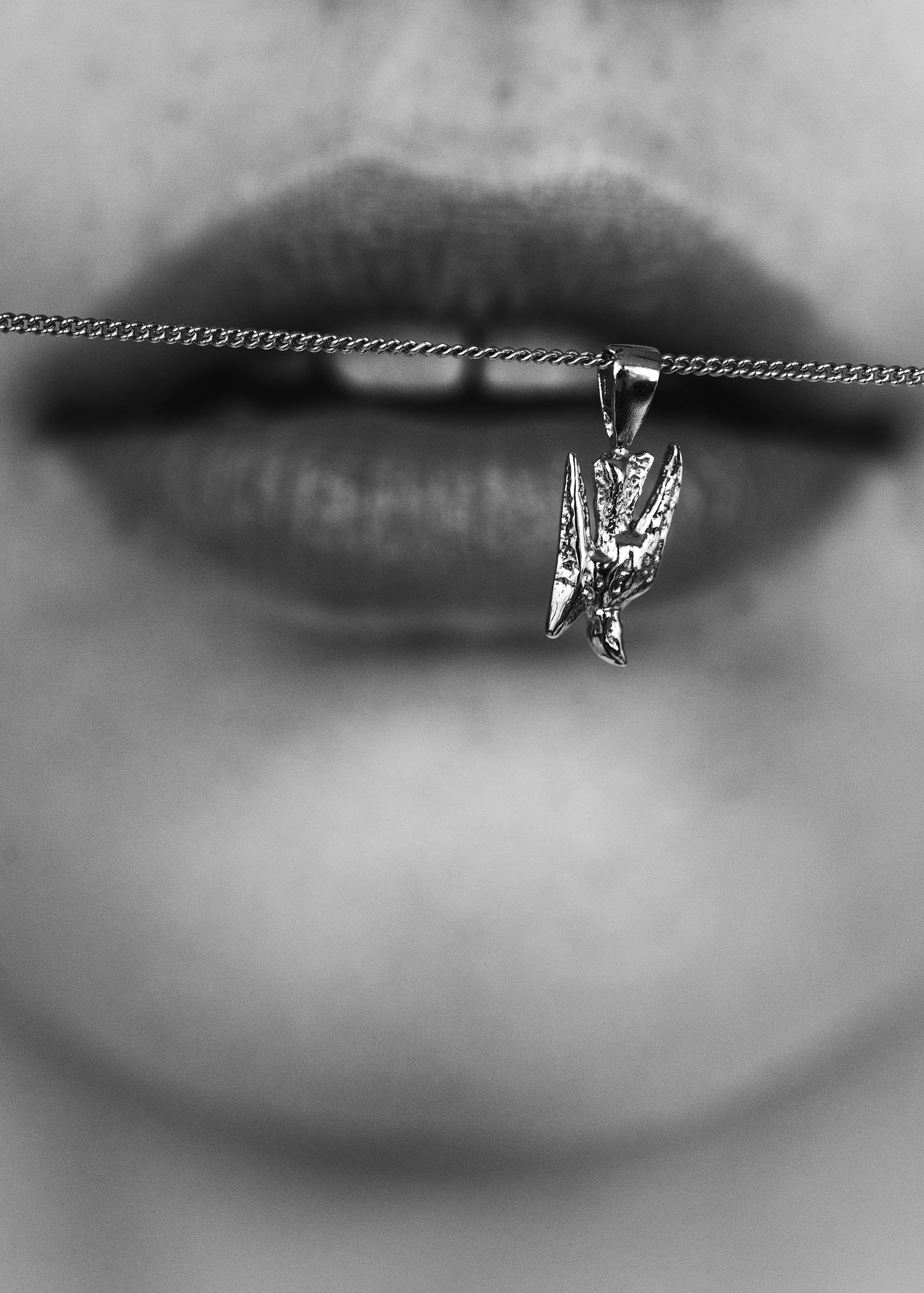 #color_silver